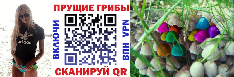 Псилоцибиновые грибы GOLDEN TEACHER  Лебедянь 